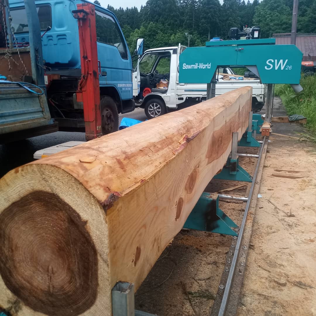 Horizontale Holzschneid-Bandsä – Woodworking Bandsaw Bewertung und Preis